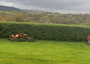 Swansea Gardening Services