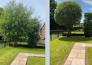 Swansea Gardening Services