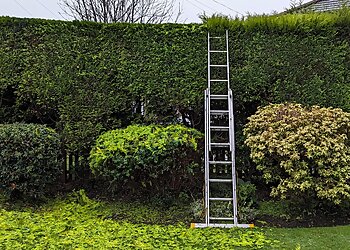 Sykes Garden Services