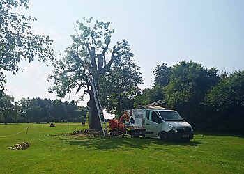 Syston Tree Care