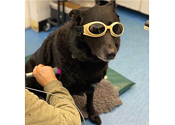 T.A. Irving veterinary surgery