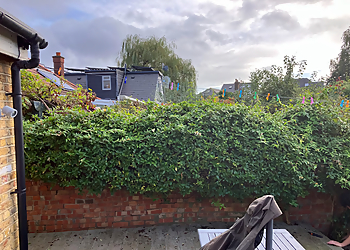 T Cash Landscaping & Garden Maintenance Ltd