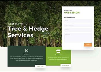 TDL Web Developments