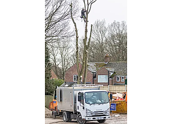 T. Howie Tree Specialist