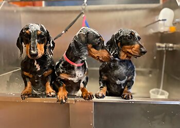 TOG (Temple Of Groom)