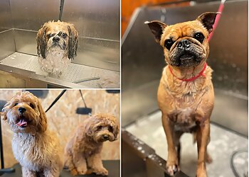 TOG (Temple Of Groom)