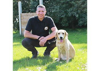 dog boot camp prices uk dog boot camp prices uk
