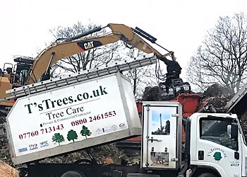 Watford tree services T'S Trees image 1