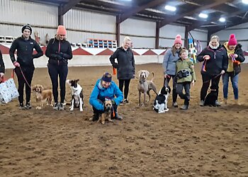 TT Dog Training School