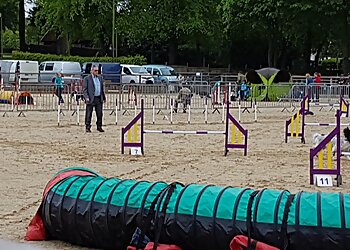 TT Dog Training School