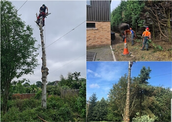 TTS Tree Surgery