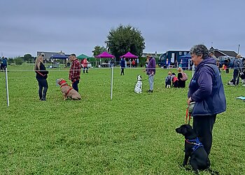 Tail Talk Dog Training and Behaviour services