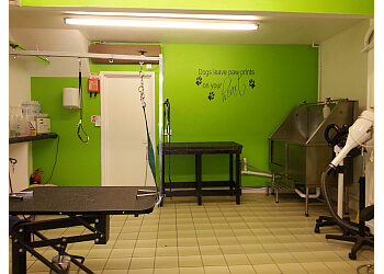 Tails Of Brighton Dog Grooming