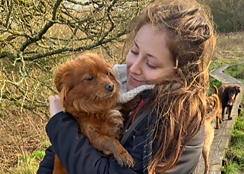 Tails & Trails Dog Walking