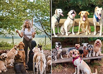 Tails & Trails Pet Services Perthshire