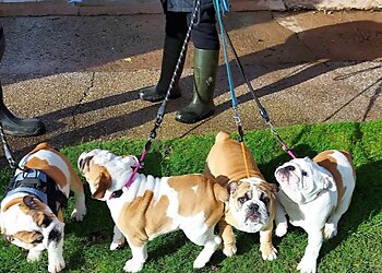 Talbot House Boarding Kennels & Cattery