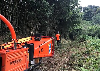 Tall Trees & Small Woods Arboricultural Services Ltd