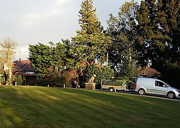 Tangle Wood Tree Service