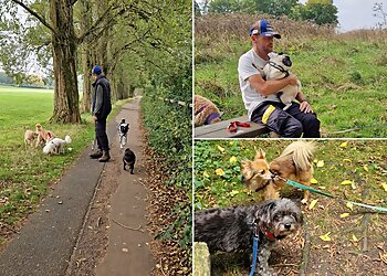 Tara's Happy Tails Dog walking & Pet Care Service