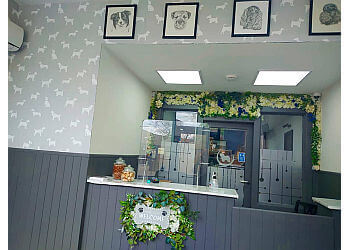 Targamar Luxury Dog Grooming Ltd