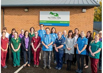 Tay Valley Vets and Equine Centre 