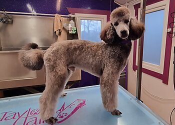 Taylors Tails Dog Grooming