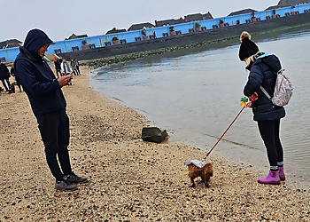 Taylors Training TAILS