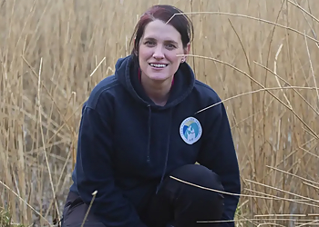 Stockton On Tees dog trainers Tees Valley Dog Training image 1