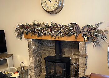 Teesdale Chimney Sweeps