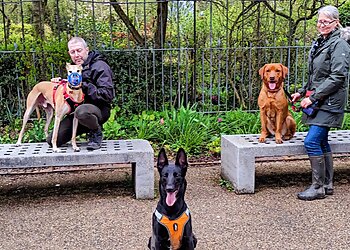 The Wrekin dog trainers Telford Dog Trainer image 1