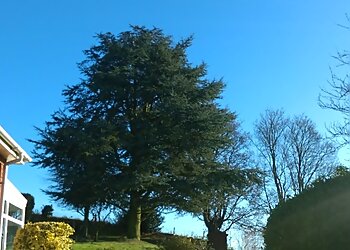 Telford Tree Services