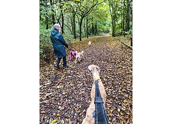 Tempo's Pet and Domestic Services