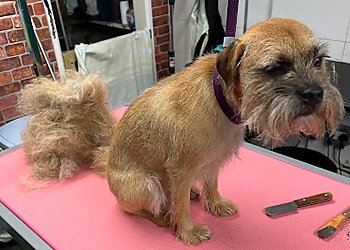 Tender Touch Pet Salon