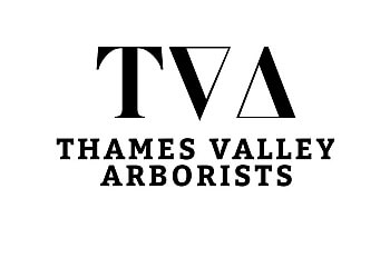 Thames Valley Arborists