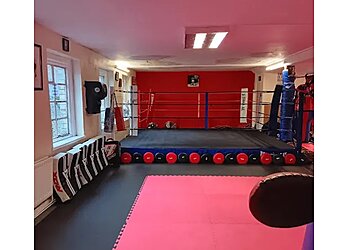 Newcastle Upon Tyne martial arts The Advanced Fighting Centre  image 1