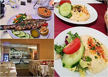 The Aegean Taverna Greek