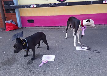 The Altrincham & District Dog Training Society