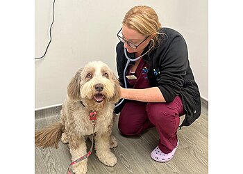 The Barn Animal Practice