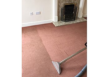 The Bee's Knees Carpet and Upholstery Cleaning