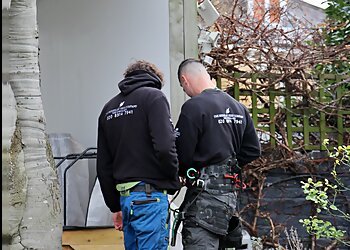 The Berkeley Tree Company