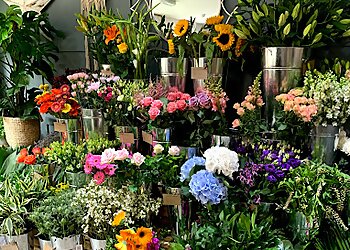 The Beverley Flower Company