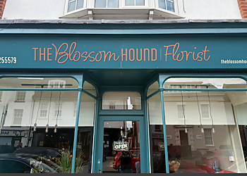 The Blossom Hound