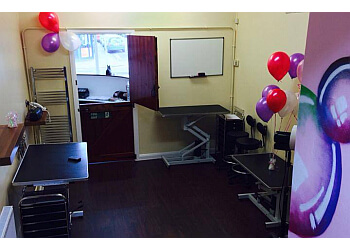 The Brighton Pet Spa