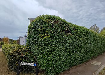 The Cambridge Gardener