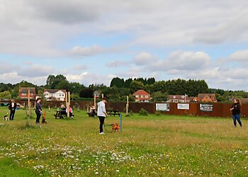 The Canine Academy Training & Behaviour