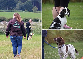 The Canine Academy Training & Behaviour