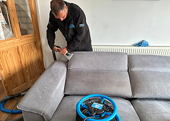 The Carpet Cleaner The Carpet Cleaner