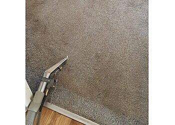 The Carpet Cleaner