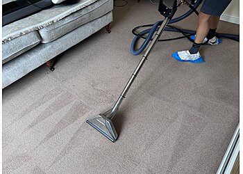 The Carpet Cleaning Professor