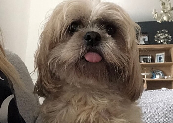 The Clees Dog Services